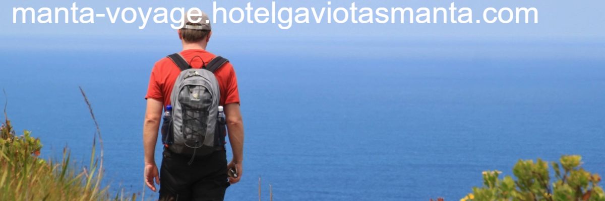 manta-voyage.hotelgaviotasmanta.com